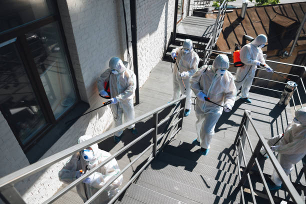 Best Real Estate Mold Inspection  in Camilla, GA