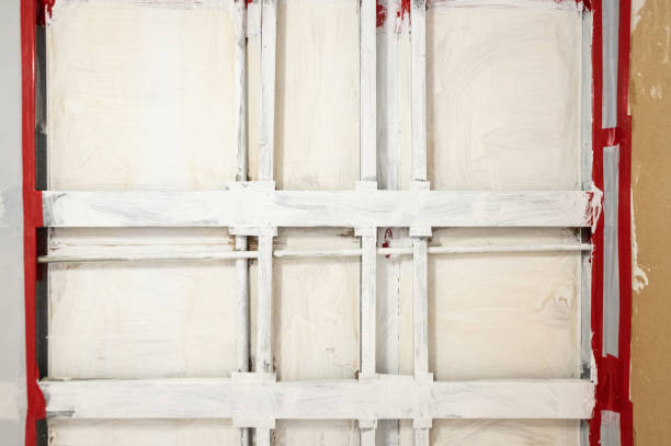 Professional Mold Removal in Camilla, GA