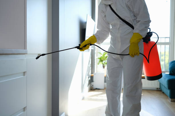 Best Attic Mold Removal  in Camilla, GA