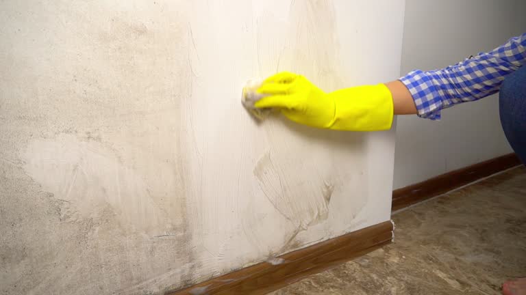 Best Mold-Related Health Consultation  in Camilla, GA