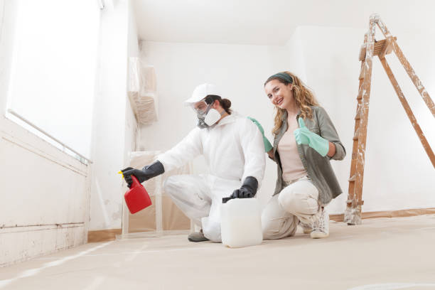 Best Post-Remediation Verification Testing  in Camilla, GA