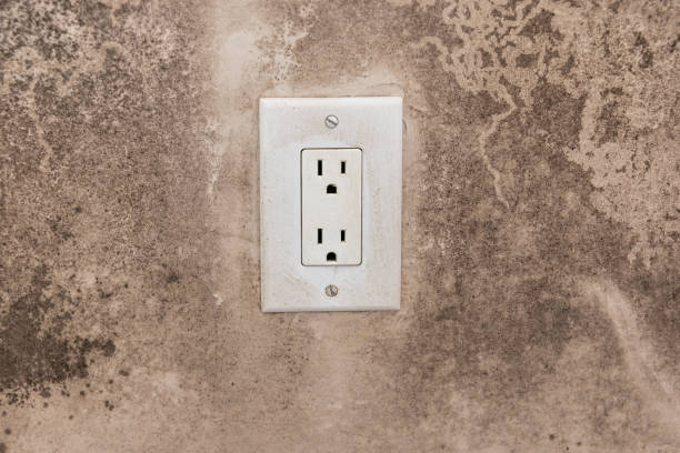 Best Mold Removal for HVAC Installations  in Camilla, GA
